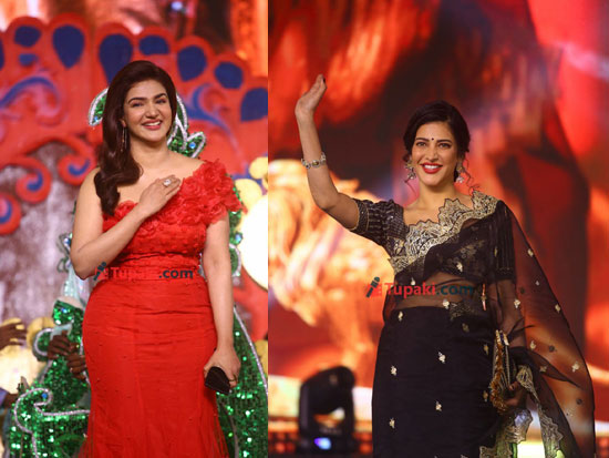 VeeraSimhaReddy Pre Release Event Photos2